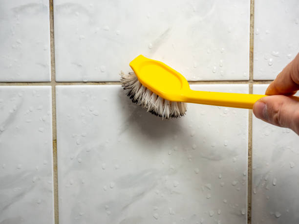 Best Commercial Mold Removal  in Tonka Bay, MN